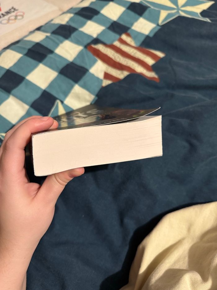 King of scots - Liv Stone - photo numéro 6