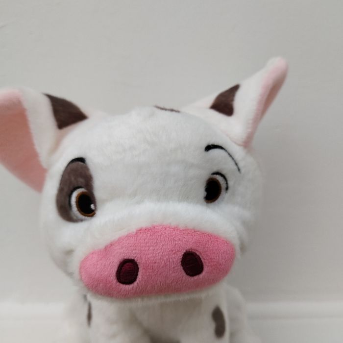 Cochon Pua Vaiana - photo numéro 6