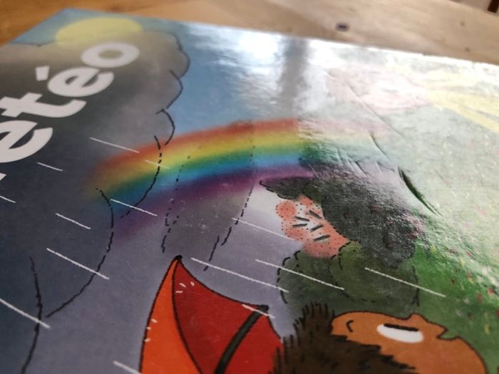 Livre La météo - photo numéro 10