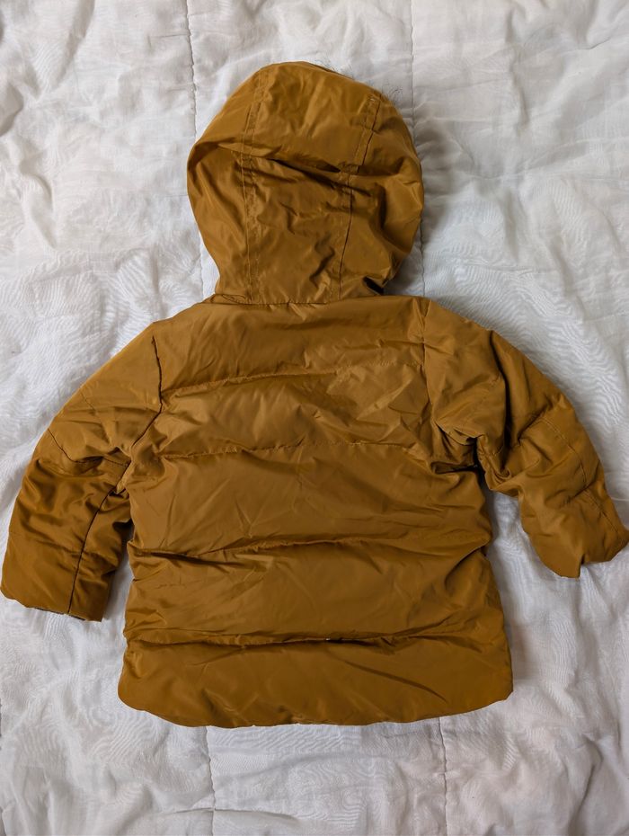 Manteau - photo numéro 2