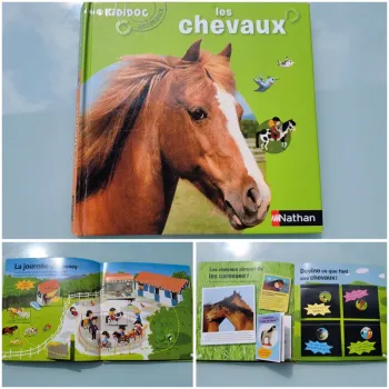 Livre animé de flaps, tirettes.. Kididoc 🐎 Les Chevaux 🐴