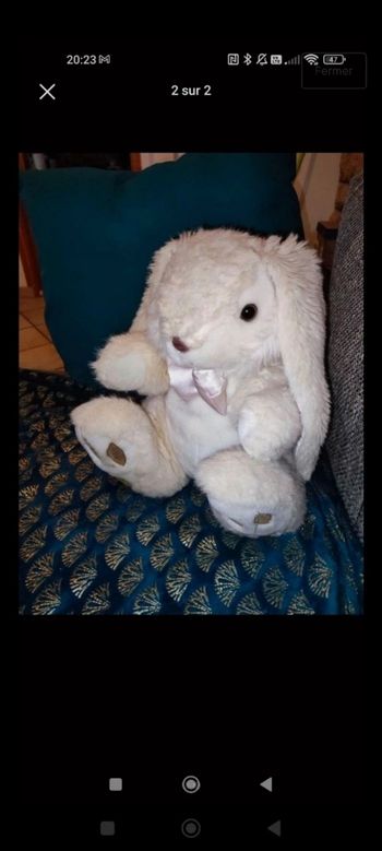 Grand lapin