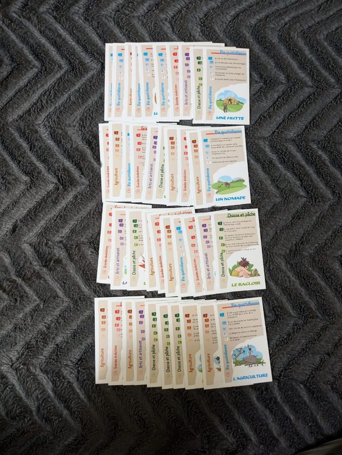 Jeu Enigmes préhistoriques
Bioviva - photo numéro 4