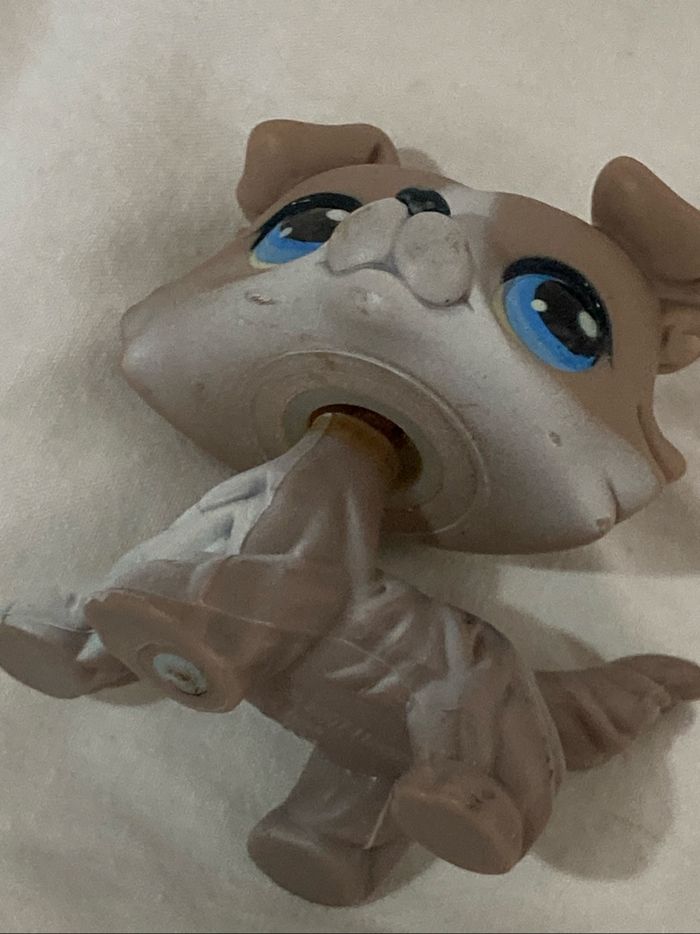 lps colley - photo numéro 8