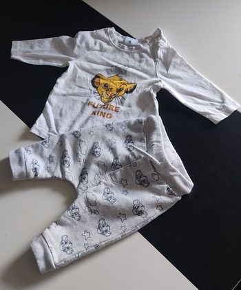 Ensemble simba