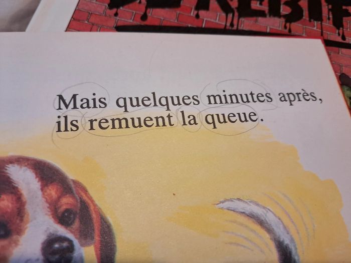 Livre Les petits chiens sont comme ça - photo numéro 6