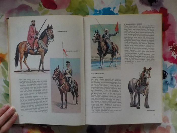 Animal specialists Animal world inn colour M. Burton - photo numéro 6