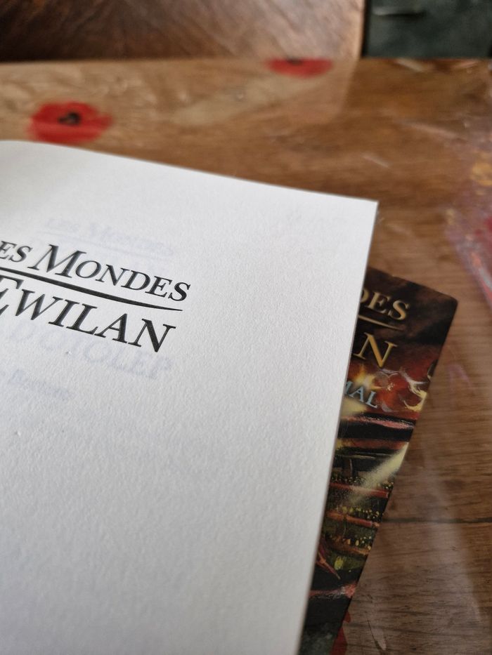 Intégrale Saga Ewilan en 6 tomes - photo numéro 8