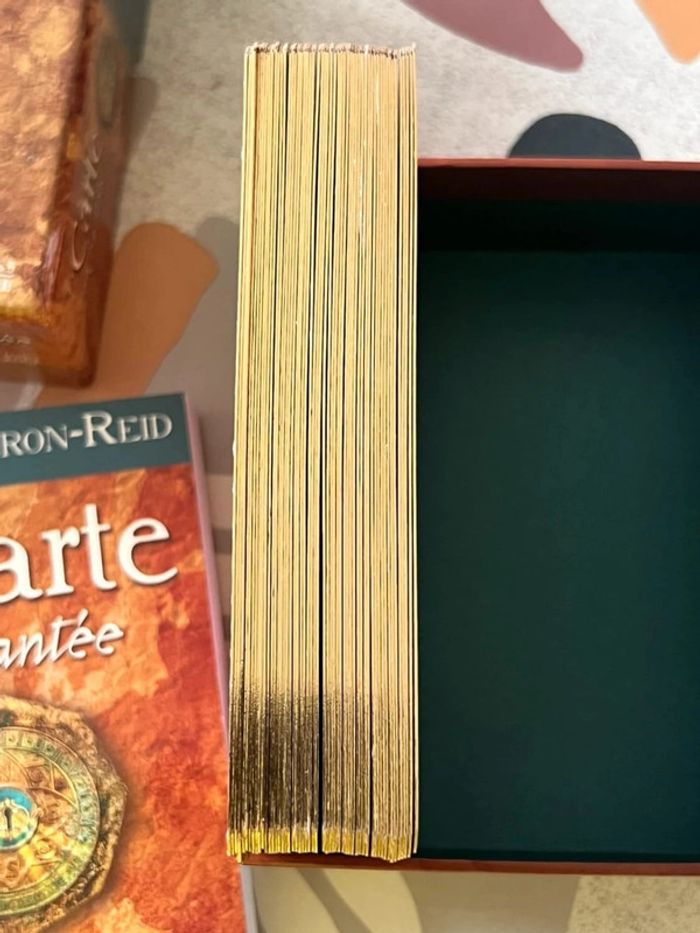 La carte enchantée Oracle - photo numéro 2