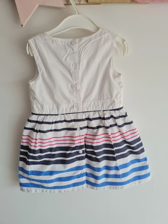 Robe Grain de blé 3A - photo numéro 4