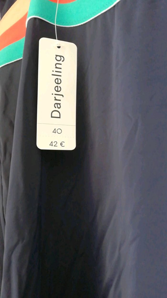 Nuisette bleu - photo numéro 4