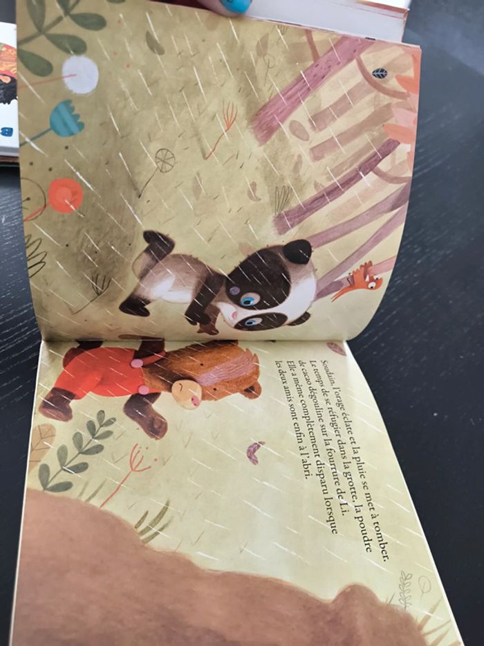 Livre - Petit panda cherche un ami - photo numéro 5