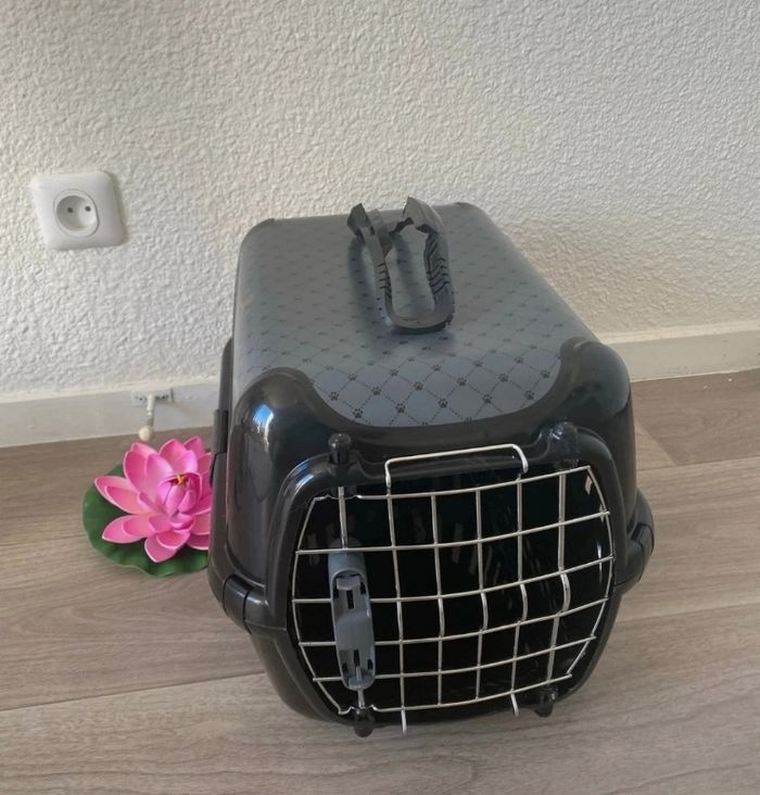 Caisse de transport 🐾/ voyage 🐈⬛ - photo numéro 3