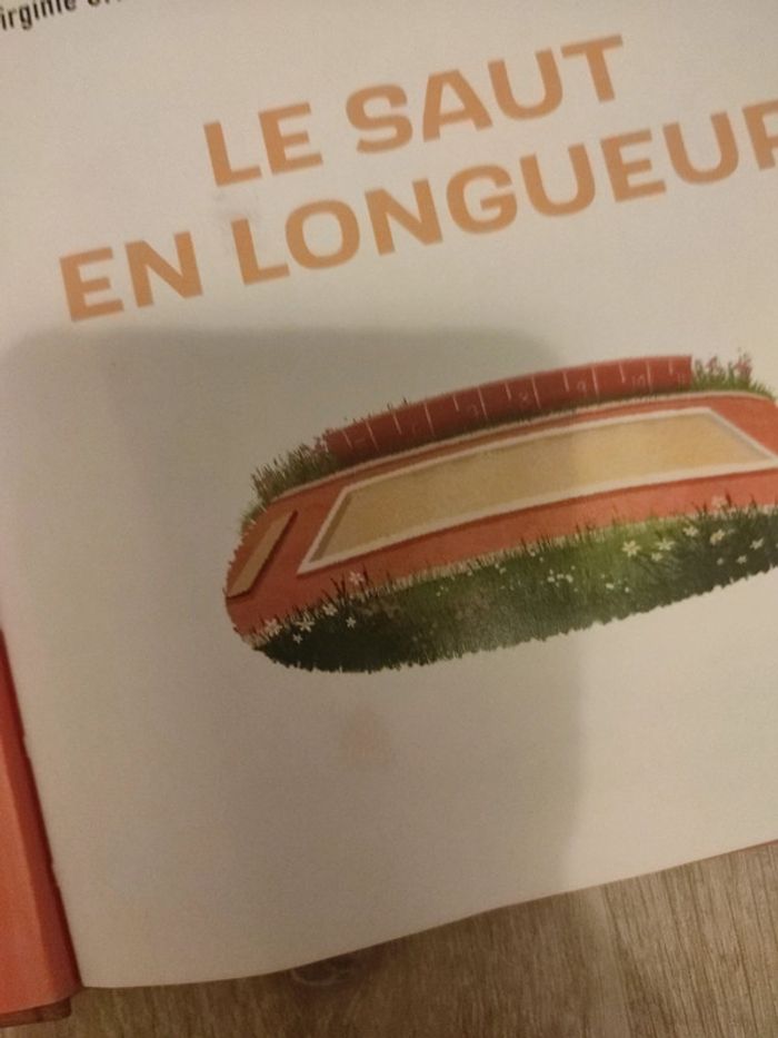 Le saut en longueur - photo numéro 2