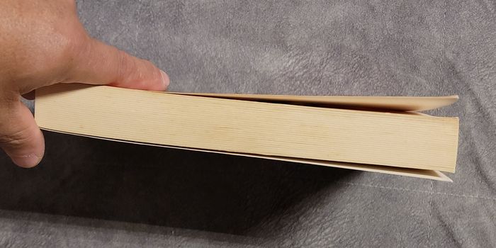 Le réseau Melchior Serge Bramly - photo numéro 2