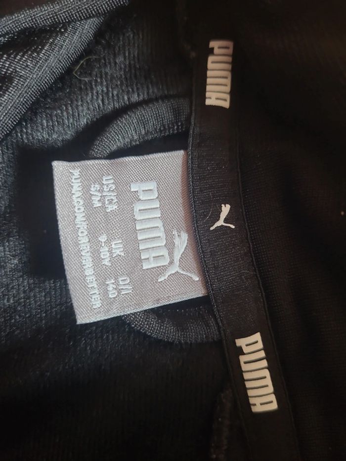 Ensemble puma - photo numéro 7