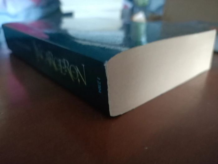 Livre de poche incarceron (Catherine fisher / éditions pocket jeunesse) - photo numéro 4