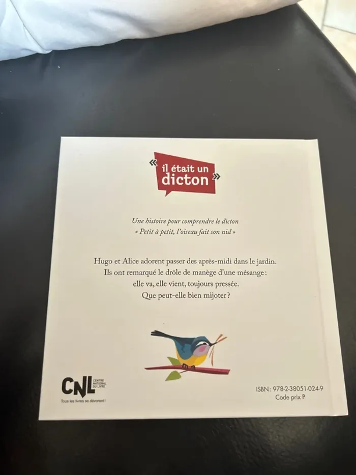 Petit à petit l’oiseau, fait son nid - photo numéro 2