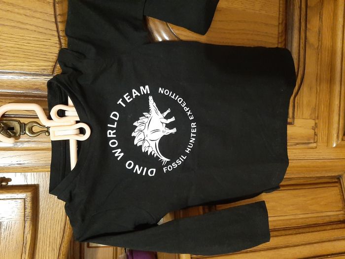 3 tee shirts manches longues pour garçons Taille 4 ans - photo numéro 2