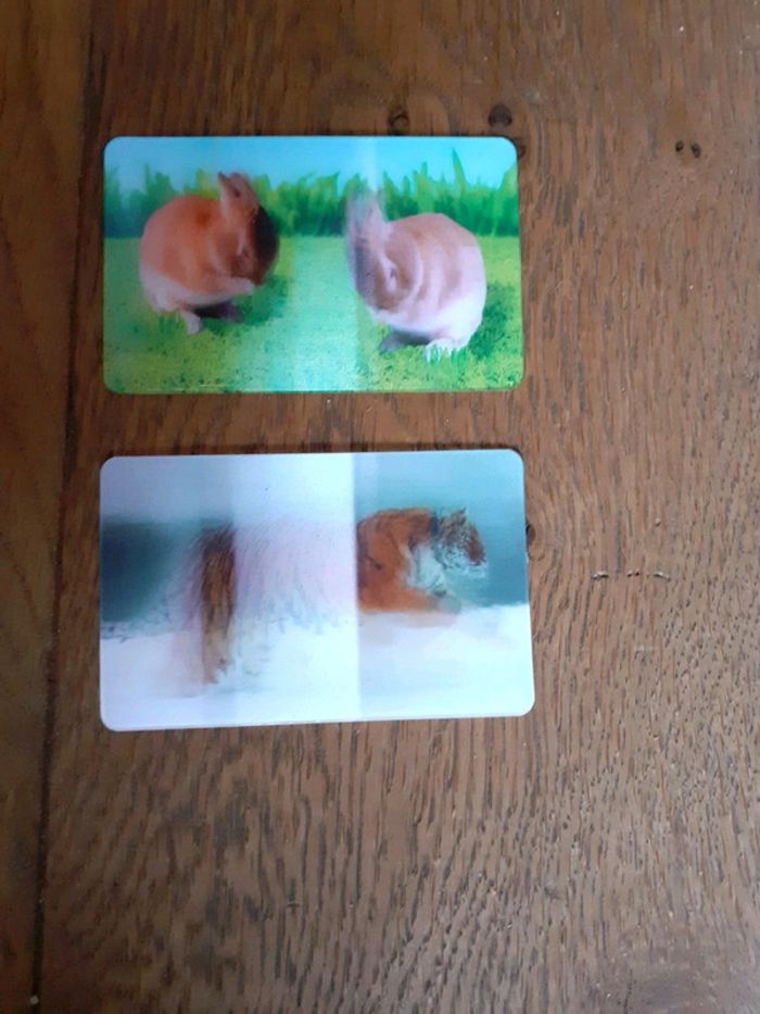 2 cartes animées lenticulaires animaux cora match