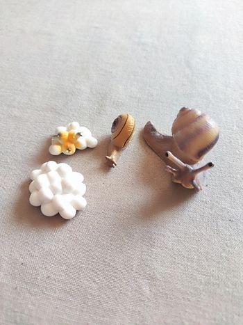 Figurines cycle de vie de l'escargot