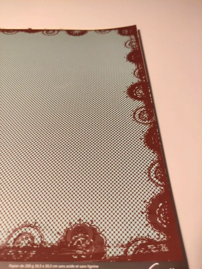 Papiers pour loisirs créatifs - photo numéro 10