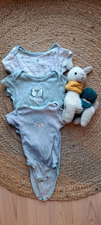 3 bodys manches courtes taille 74