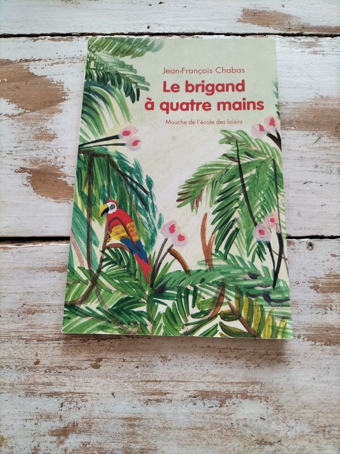 Livre le brigand à quatre mains