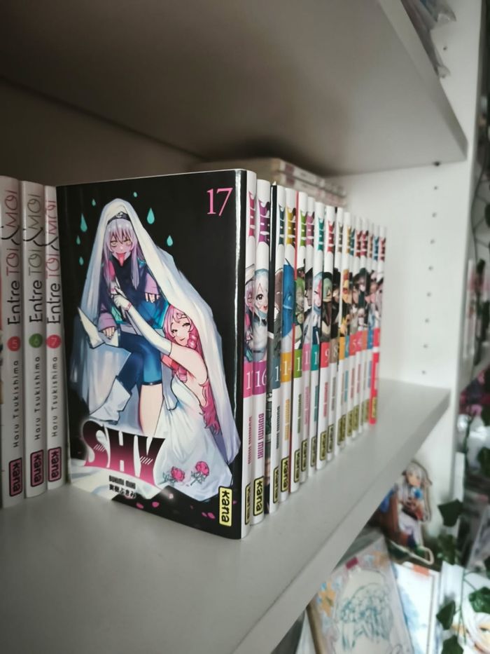 Shy 1-18 - photo numéro 3