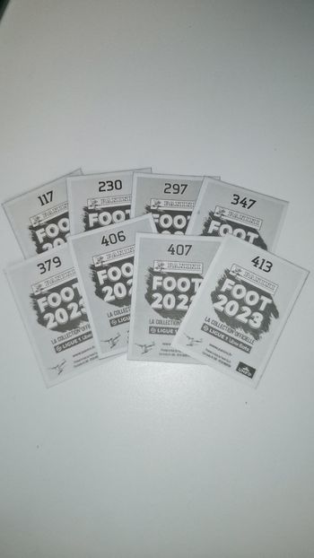 Cartes panini foot 2023