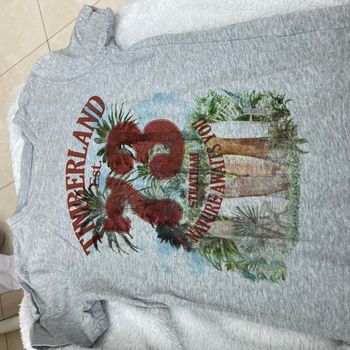 # tee-shirt# timberland #8 ans
