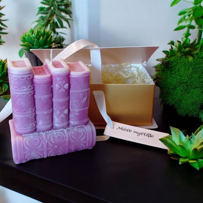 Petit livre bougie violet (mûre Myrtille) maîtresse, nounou, tatie