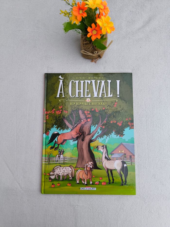 Livre À cheval Delcourt