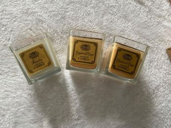 Lot de 3 bougies parfumées Bamboo