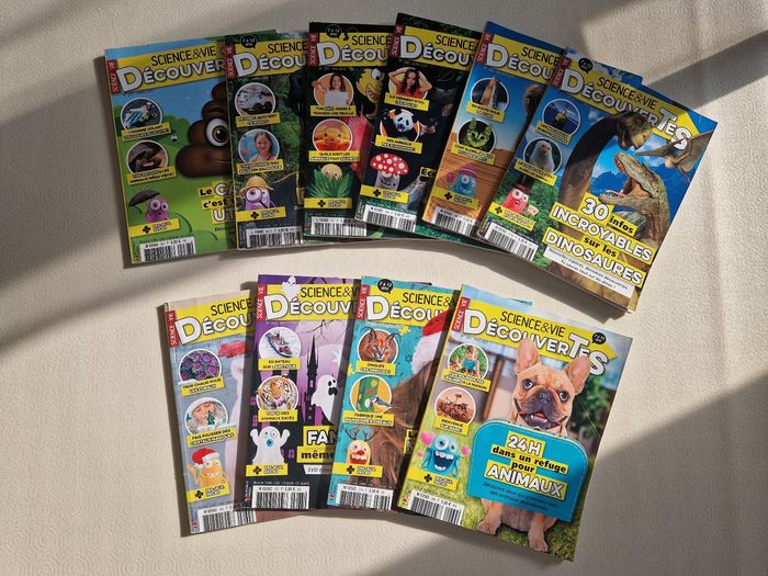 Lot 10 magazines sciences et vie découvertes