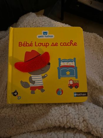 Livre bébé loup se cache