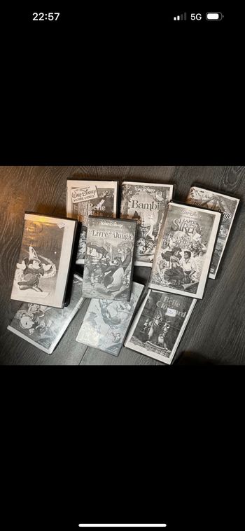 Lot de 45 cassettes VSH