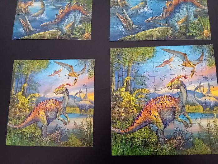 Puzzle 49 pièces - photo numéro 4