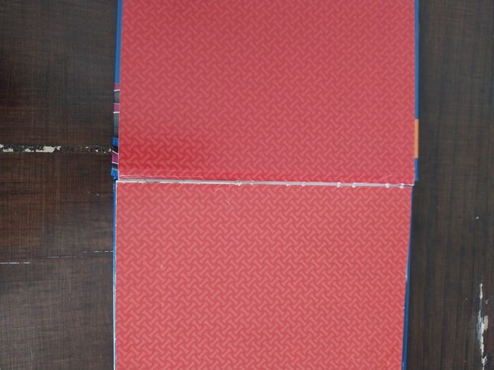 Livres Paw Patrol - photo numéro 6