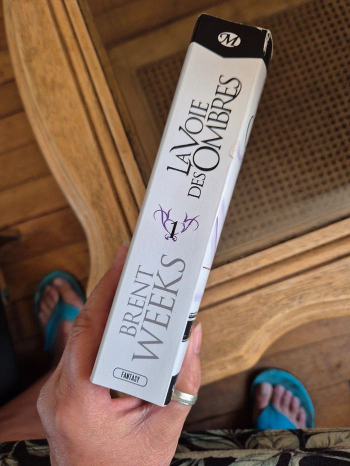 livre l'ange de la nuit de Brent Weeks - photo numéro 2