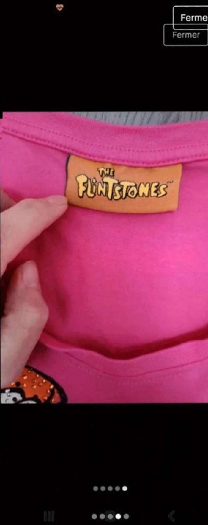 The flingstones - photo numéro 4