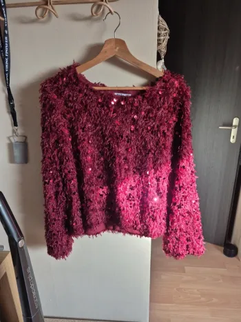 Pull a sequin bordeaux TM