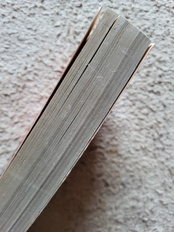 Roman La brute de Guy des Cars (1970) - photo numéro 4