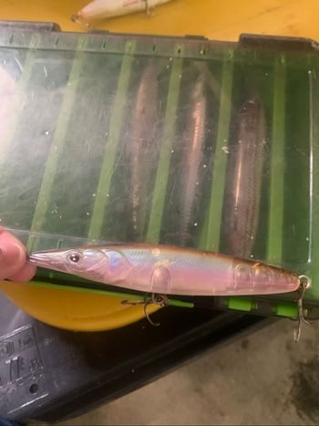 Leurre pêche