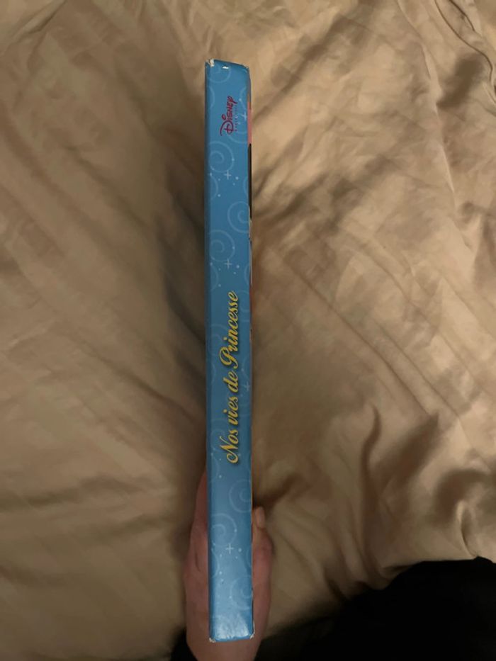 Nos vies de Princesse - photo numéro 4