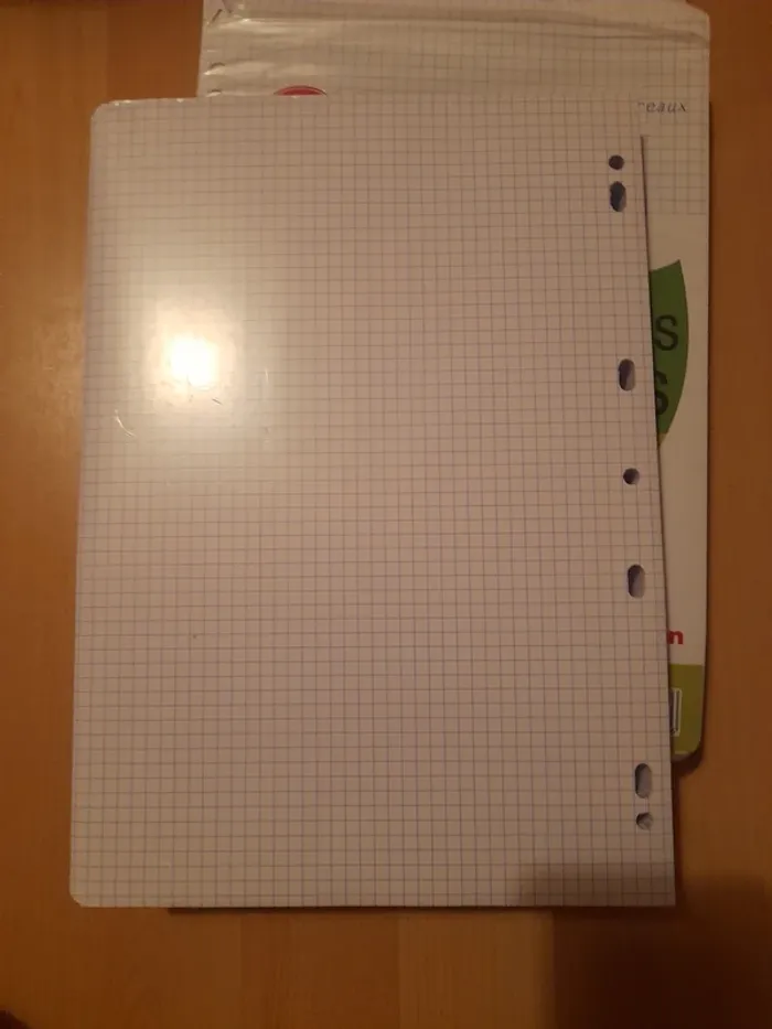 Feuille simple perforées - photo numéro 2