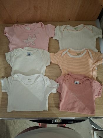 Lot 6 body