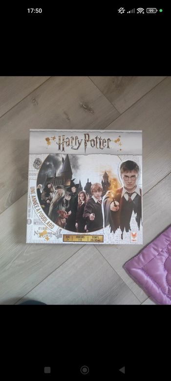 Jeu Harry Potter une année à Poudlard