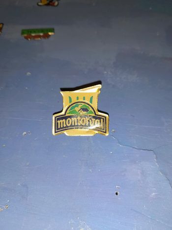 Pins vintage montorval