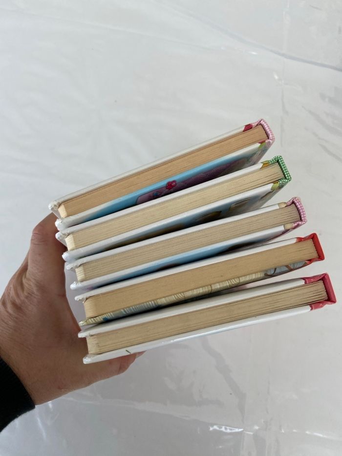 Lot de 5 Livres Cartonnés FLEURUS – Collections Petite Fille & Petites Princesses - photo numéro 6